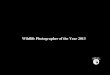 Wildlife photographer of the year 2013