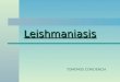 Leishmaniasis 2 power point