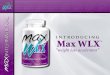 Max Wlx Powerpoint