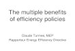 The Multiple Benefits of Efficiency Policies