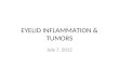 Eyelid inflammation & tumors