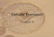 Ch.8   cell transport