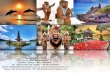 4D3N Bali Honeymoon Package + Dolphin Tour