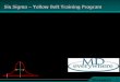 Six sigma - yellow belt program v3-030610