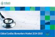 Global Cardiac Biomarkers Market 2014-2018