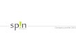 Spin company profile 2011