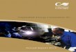 CEC 2010 Annual Report