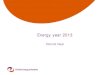 Energy year 2013 - District heating