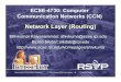 Network Layer (Routing)