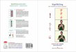 American Sign Language Hand Symbols SignWriting Manual
