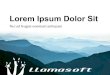 Llamasoft PowerPoint Template