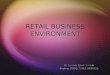 Retail biznes environment a1