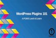 WordPress Plugins 101