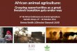 African animal agriculture: Grasping opportunities as a great livestock transition gets under way
