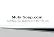 Mula soap website design