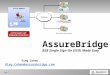 AssureBridge - Company Whose Employees Require SSO into Many Externally Hosted Online Services - Marketing Presentation