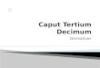 Caput Tertium Decimum Derivatives 1