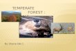 Temperate forest shane g6 (1)