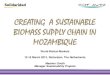 Creating a sustainable biomass supply chain in mozambique   maarten gnoth gdf suez
