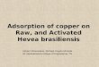 Adsorption of copper on raw, and activated 1