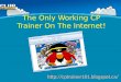 New Working Club Penguin Trainer