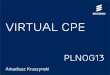 PLNOG 13: Arkadiusz Kruszyński: Virtual CPE using SDN and NFV architecture