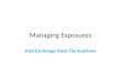 7.international finance exposures