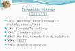 Ayurvedic Pharmacology of Terminalia belerica & its Pharmacognocy