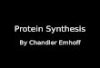 Protein Synthesis C Emhoff Pd. 3