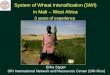 1165 System of Wheat Intensification (SWI) In Mali, West Africa: Three Years Experience