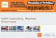 Cdit industry   market insight report