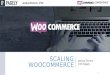 Scaling woo commerce-v2-pagely