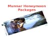 Munnar honeymoon packages