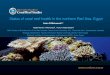 Coral diseases, coral bleaching and other health issues affecting Red Sea coral reefs