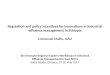 Regulation and policy incentives for innovations in industrial effluents management in Ethiopia