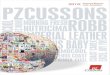 PZ Cussons  Annual Report 2010