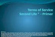 Second Life Primer: Terms of Service