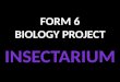 FORM 6 BIOLOGY PROJECT- Insectarium