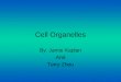 Cell Organelles Complete 2