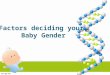 Factors deciding your baby gender
