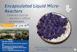 Encapsulated Liquid Micro-Reactors by Roger Aines, LLNL Scientist