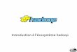 Hadoop and friends : introduction