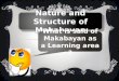 Nature and structure of makabayan