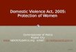 Domestic Violence Act 2005