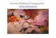 Toronto Wedding Photographer  -