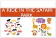 A ride in the safari park