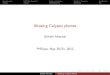 Abusing Calypso Phones