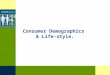 Customer demographics & lifestyle._FRANCIS