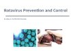 Rotavirus prevention and control