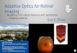 Adaptive Optics for Retinal Imaging by Scot S. Olivier, LLNL Physicist